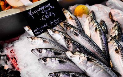 Oily fish
