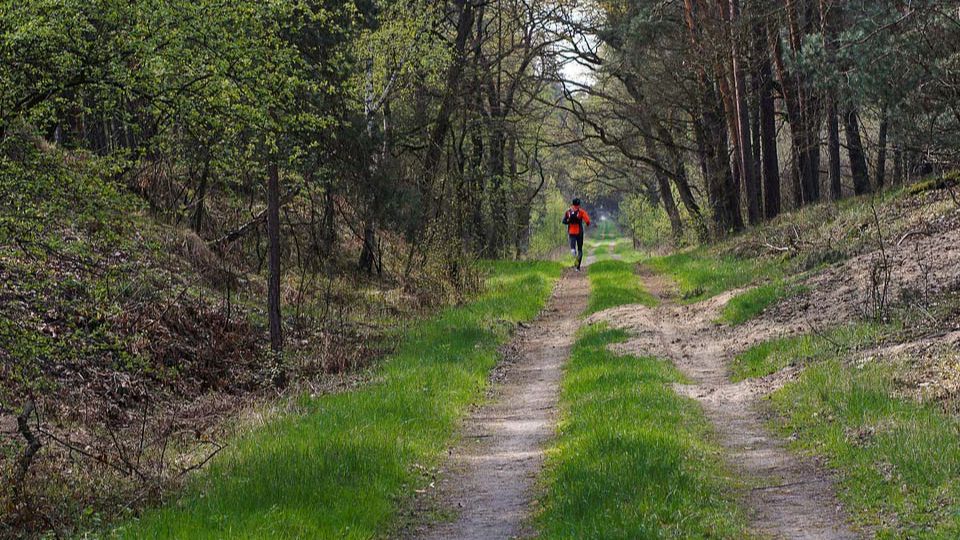 Spring run