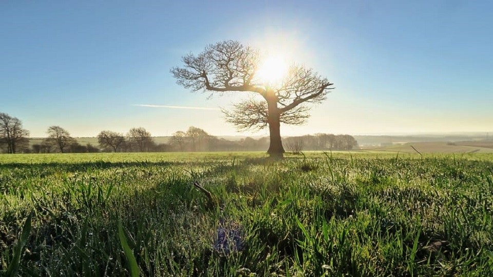 /images/2020/05/watership-down-scenery.jpg
