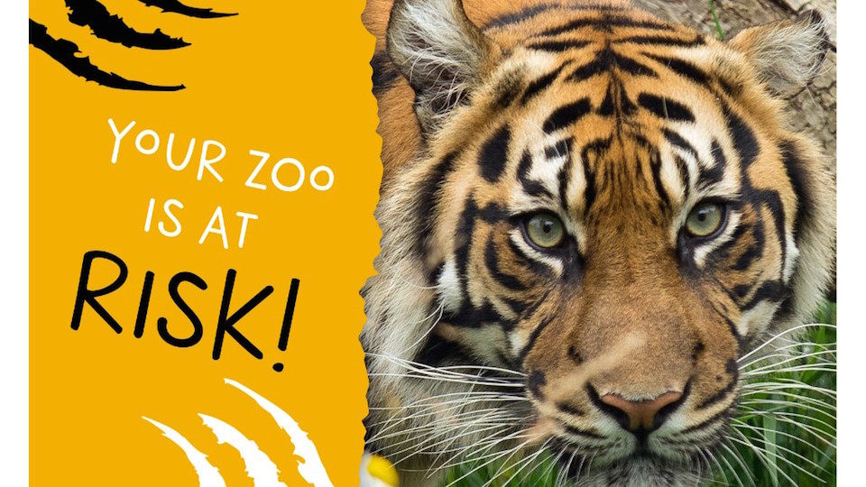 /images/2020/06/edinburgh-zoo.jpg