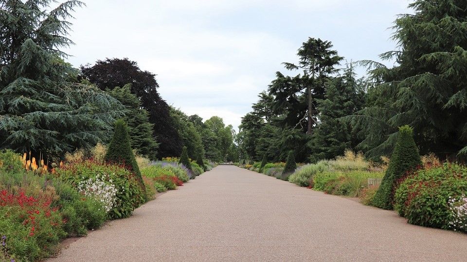 /images/2020/07/kew-gardens-280943.jpg