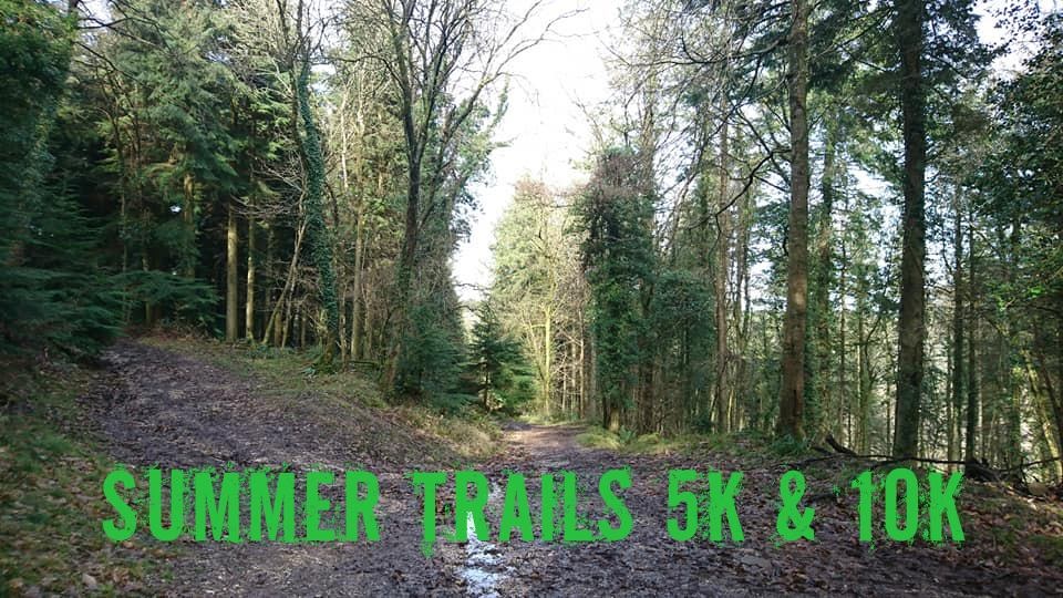 Grammarcombe Woods, Ashcombe Estate