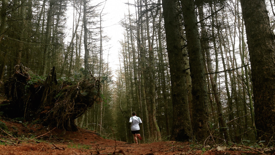 Antonine Trail Race