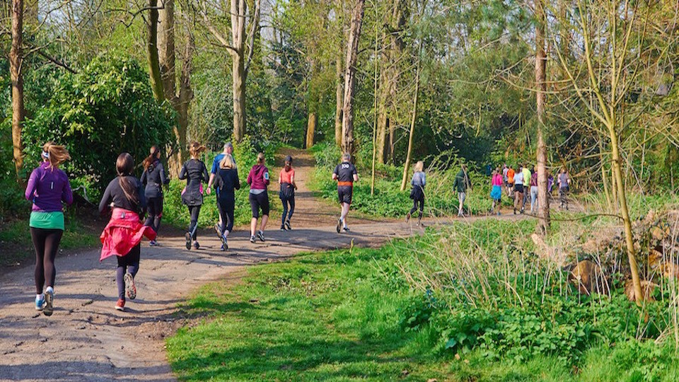 Delayed Return of parkrun