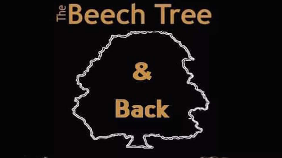 /images/2020/11/copy-uhjxgh-beech-tree.jpg