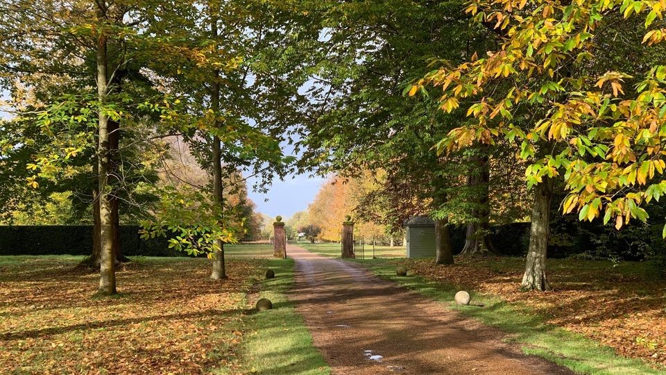 Doddington Place Gardens