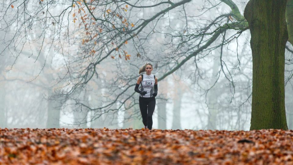 /images/2020/11/edited-trail-runner-15-11-2020-495459.jpg