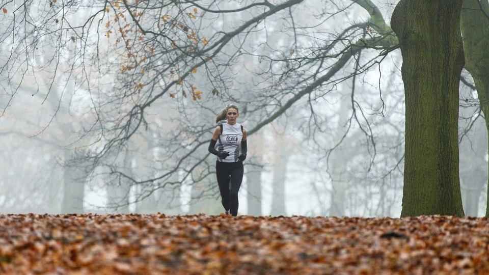 Richmond Park in winter