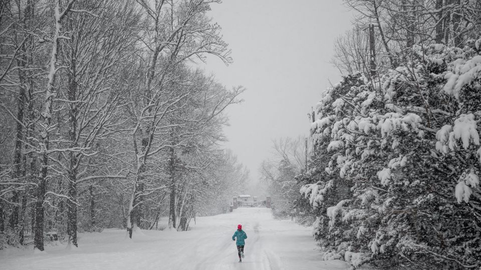 /images/2020/11/vlad-tchompalov-winter-runner-173949.jpg