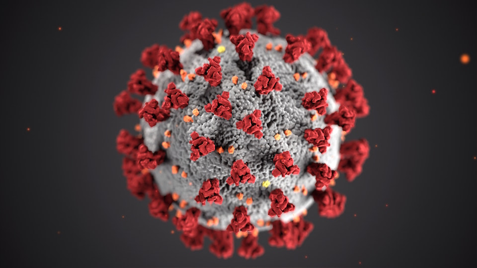 /images/2020/12/coronavirus-unsplash-2.jpg