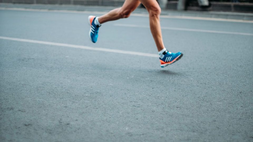 road runner