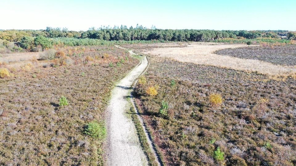 /images/2021/04/copy-q7mmnh-new-forest-national-park-trails.jpeg