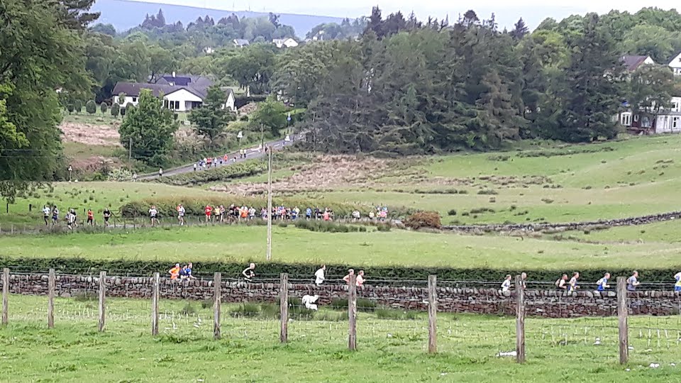 Killearn 10k