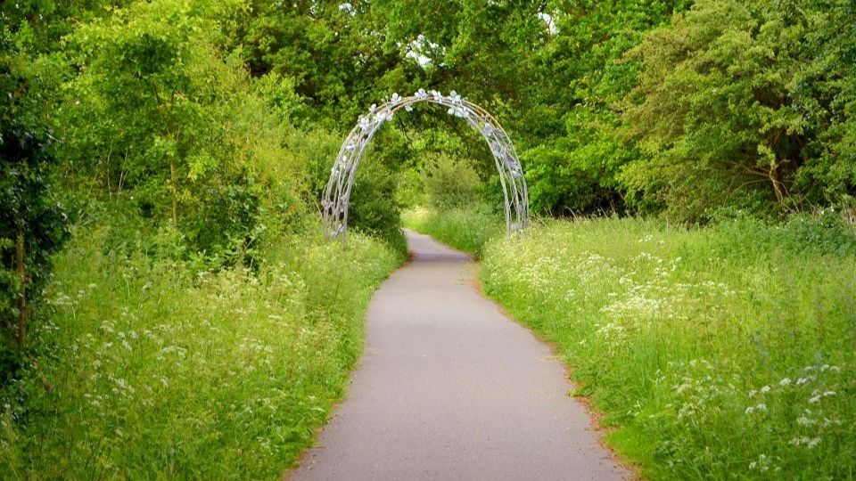 Alban Way disused railway