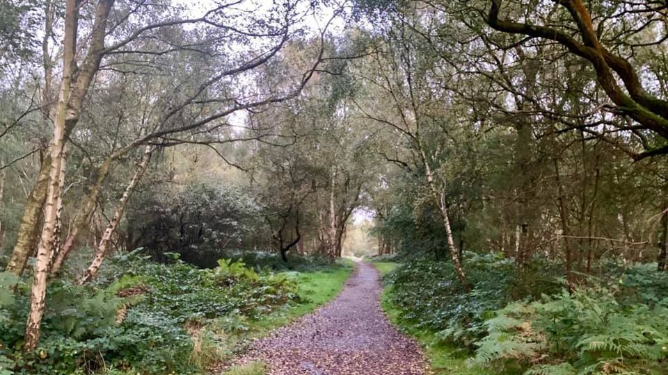 /images/2021/08/edited-cannock-chase-11-08-2021-647597.jpg