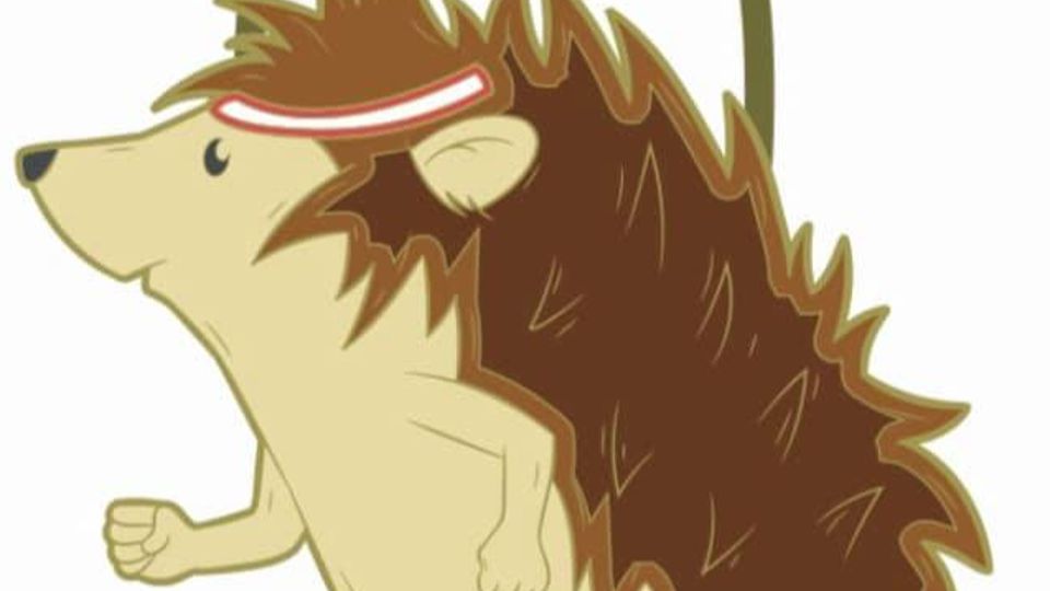 Medal design for the 2021 Hedgehog Half Marathon