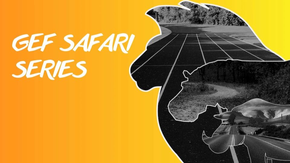GEF Safari Series