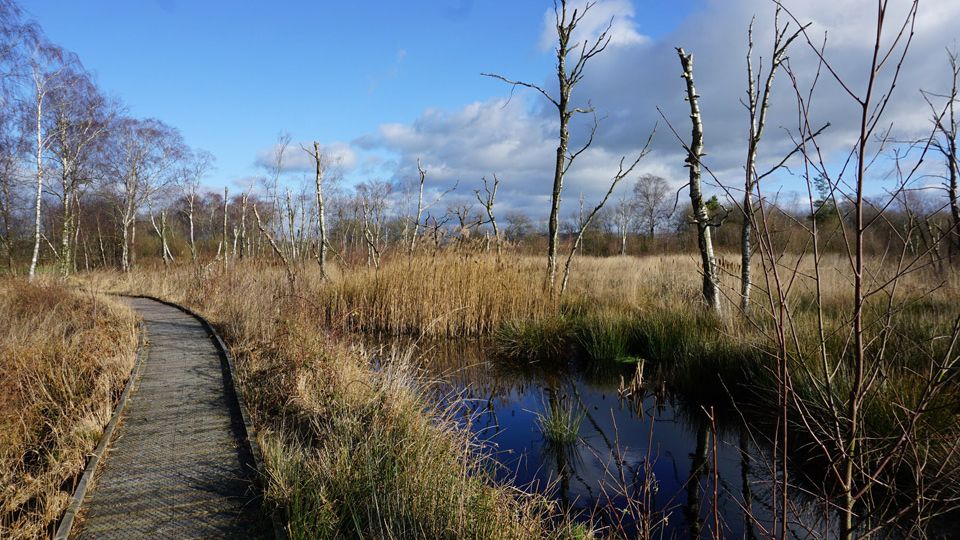 /images/2021/11/inov-8-peat-bog-979814.jpg