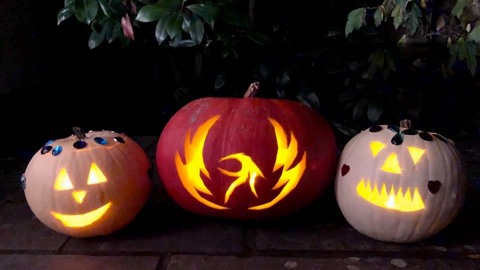 /images/2021/11/phoenix-running-at-halloween.jpg