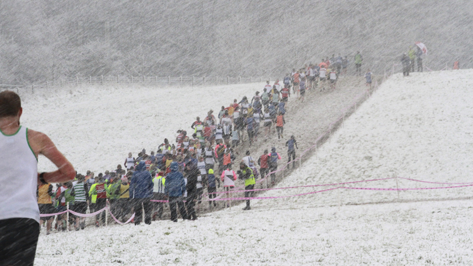 /images/2021/11/snowy-runners.jpg