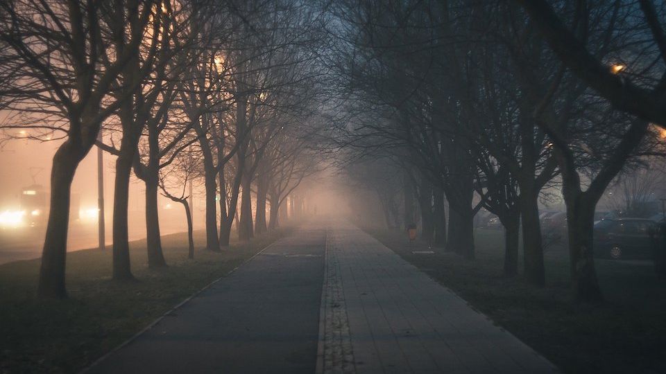 /images/2021/12/dark-park-037521.jpg