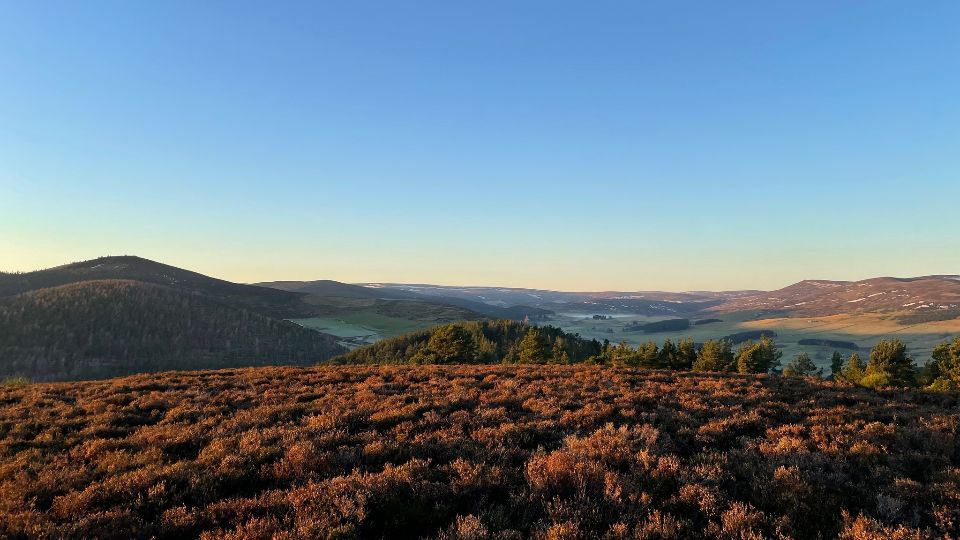 /images/2022/01/strathdon-stag-10k-407247.jpg