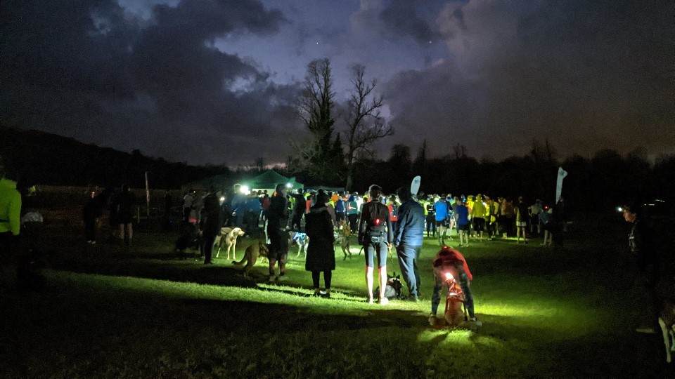 Wild Running Surrey Hills
