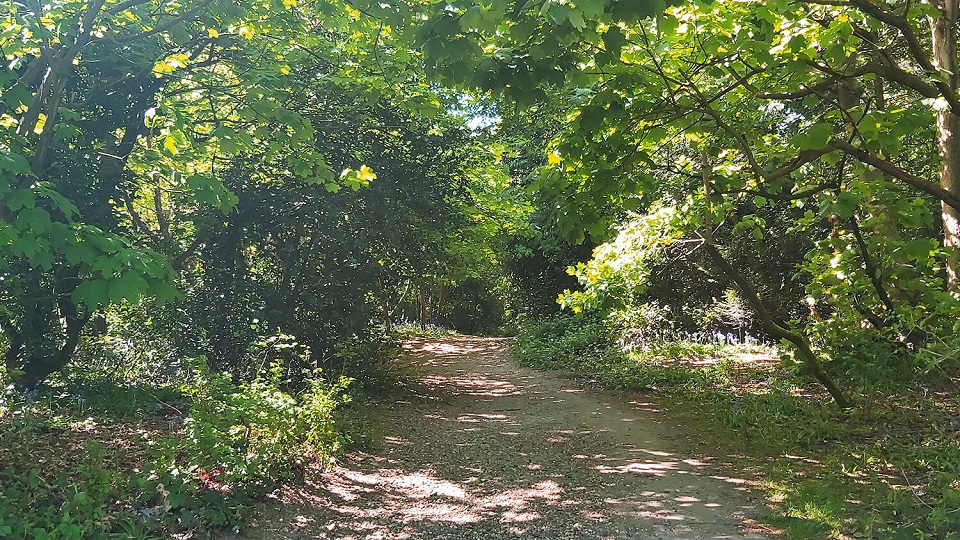 Beckenham Place Park