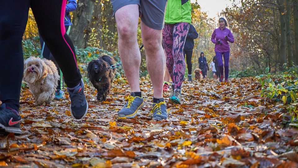 parkrun dogs
