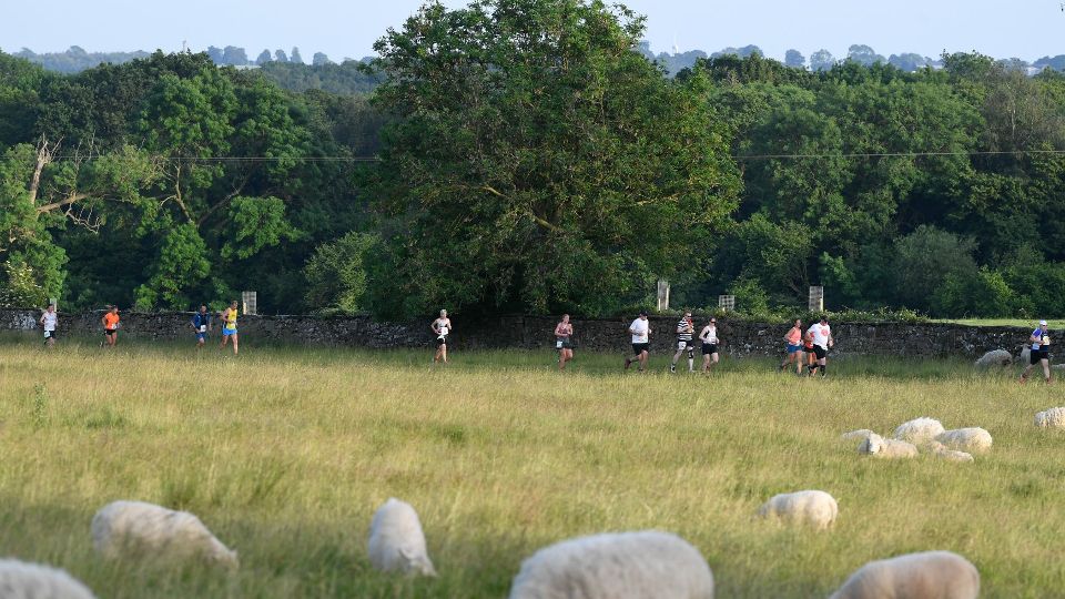 An exciting multi-lap marathon - baa none!