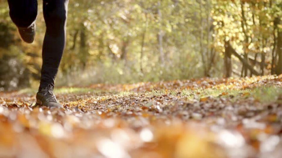 Autumnal runner