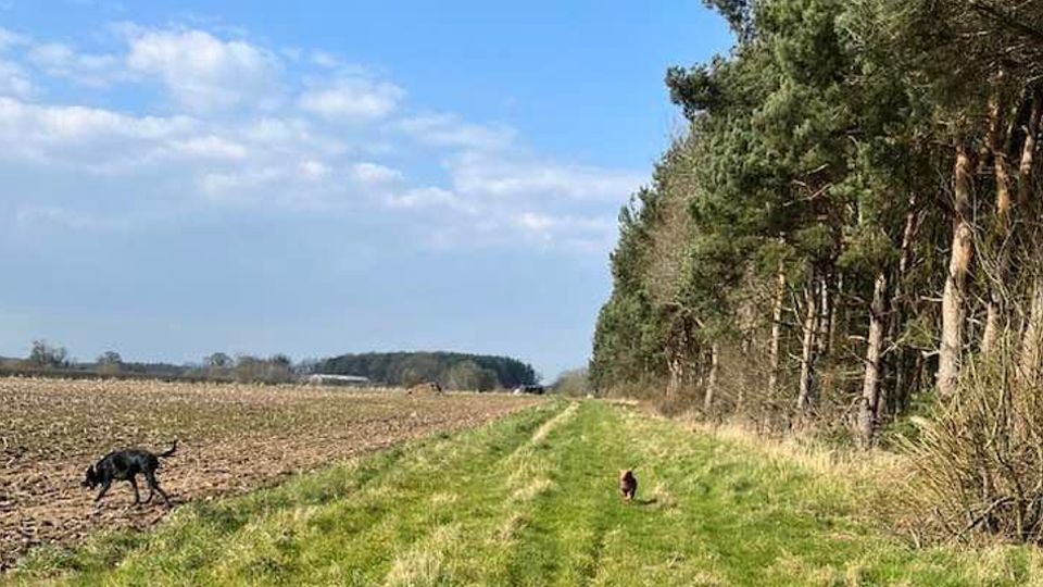 Rural run to enjoy at the new Ranton 10K in Staffordshire