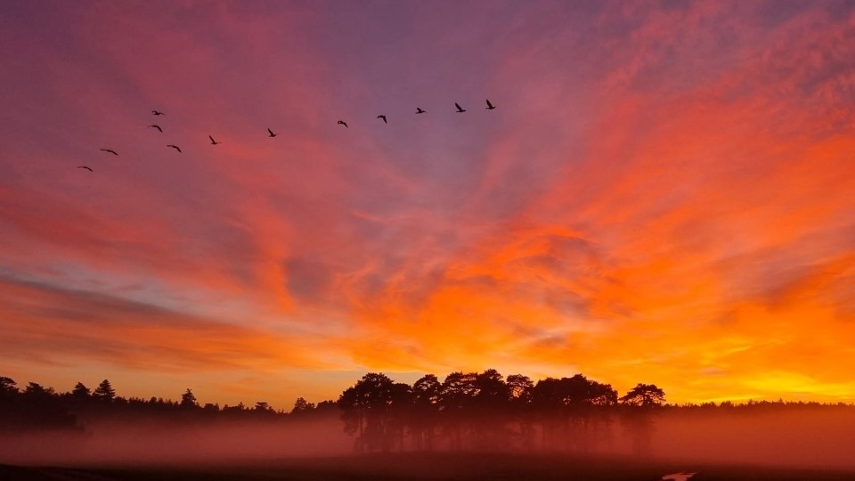 /images/2022/08/run-sandringham-24-hour-scenery.jpg