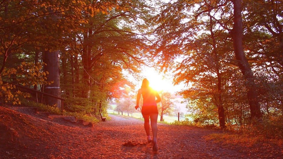 /images/2022/08/sunset-runner.jpg