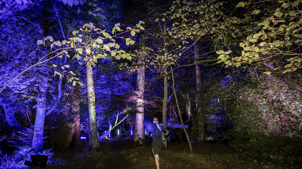 /images/2022/10/tweed-trail-runner.jpg
