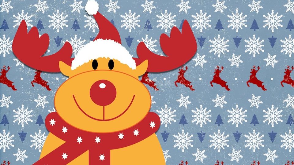Stoneleigh Park Reindeer Run 2022