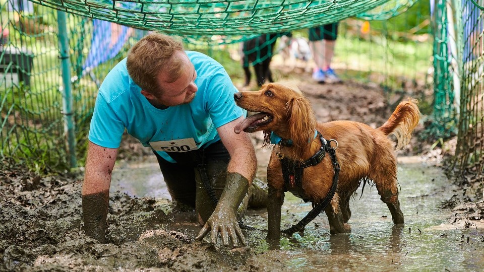 Battersea Dog Challenge 2023