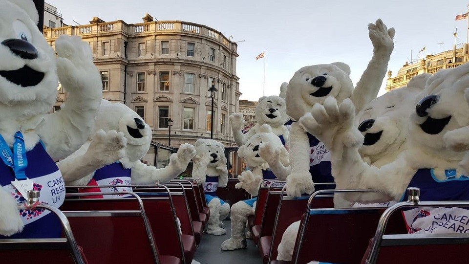 London Winter Run polar bears