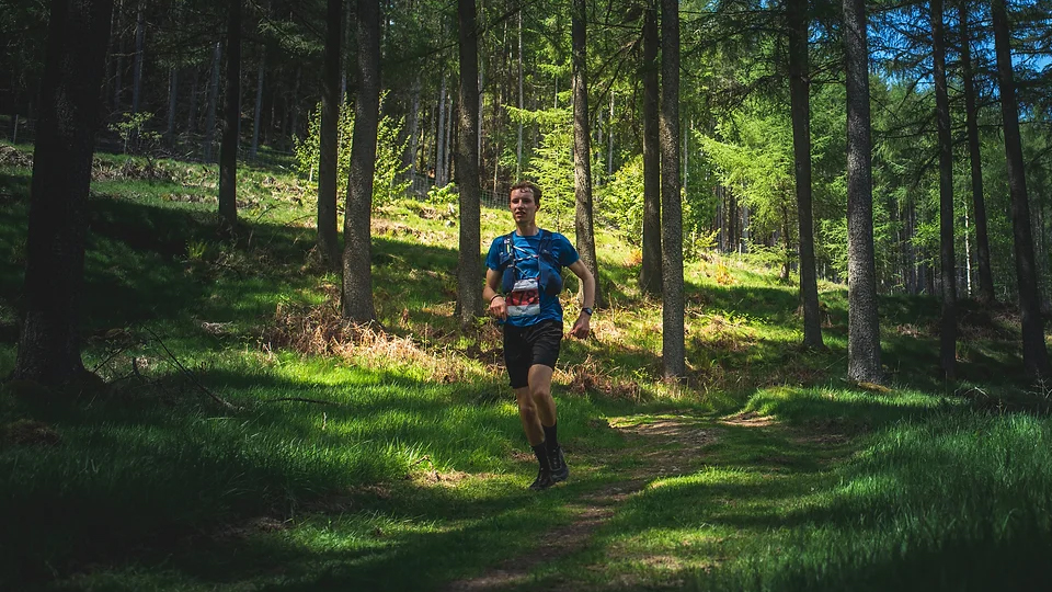 /images/2023/03/aberfoyle-trail-half.jpg