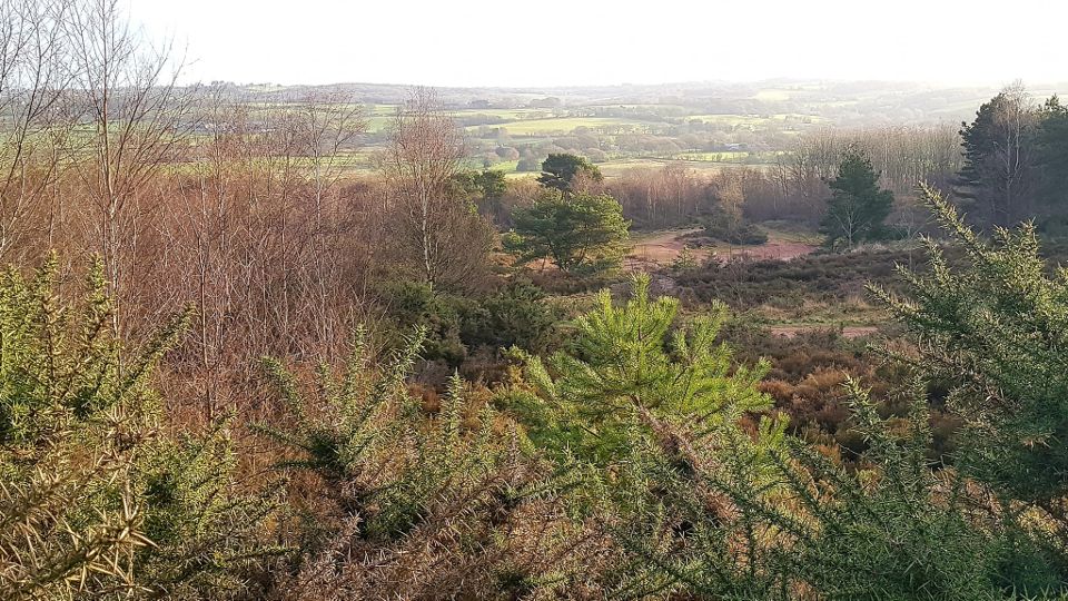 /images/2023/03/edited-park-hall-country-park-01-03-2023-721576.jpg