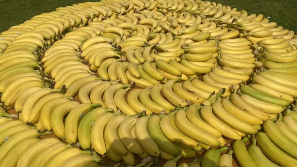 Chislehurst Half banana wheel