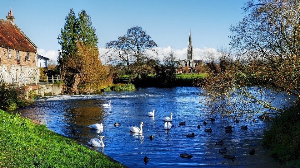 /images/2023/05/salisbury-cathedral-viewed-from-harnham-water-meadow.jpg