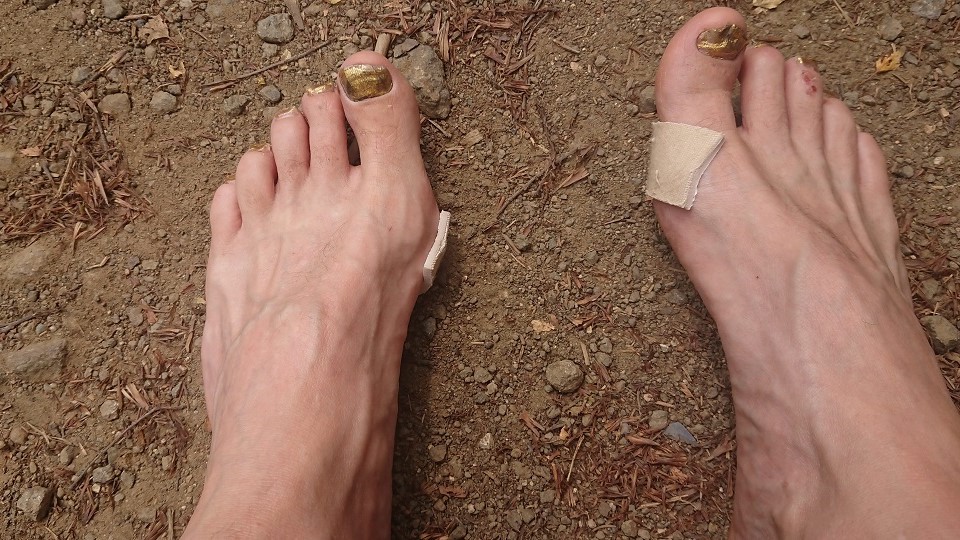 /images/2023/07/wild-runnings-ceri-reess-feet.jpg