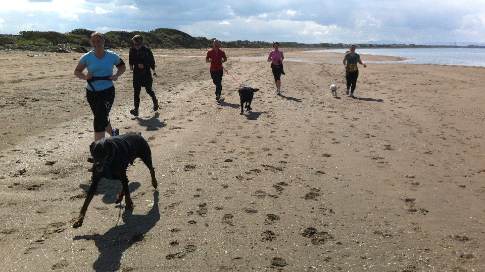 /images/2023/08/canicross-runners-copy.jpg