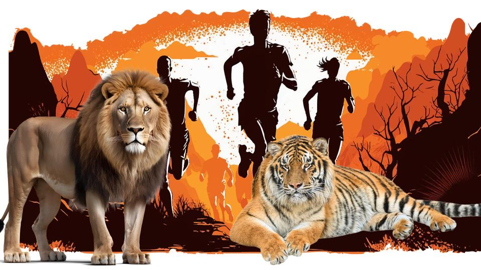 /images/2023/08/zoo-to-fell-marathon-copy.jpg
