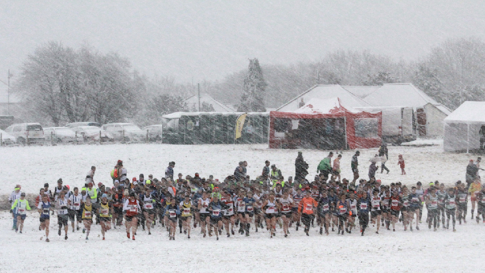 /images/2023/11/north-cross-country-champs.jpg