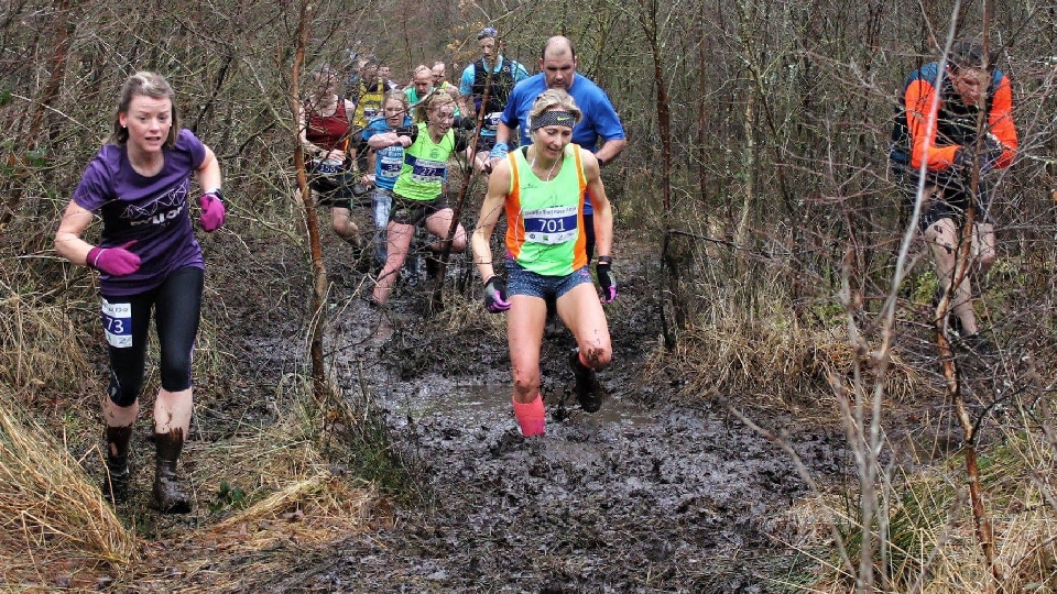 /images/2023/12/devilla-forest-trail.jpg