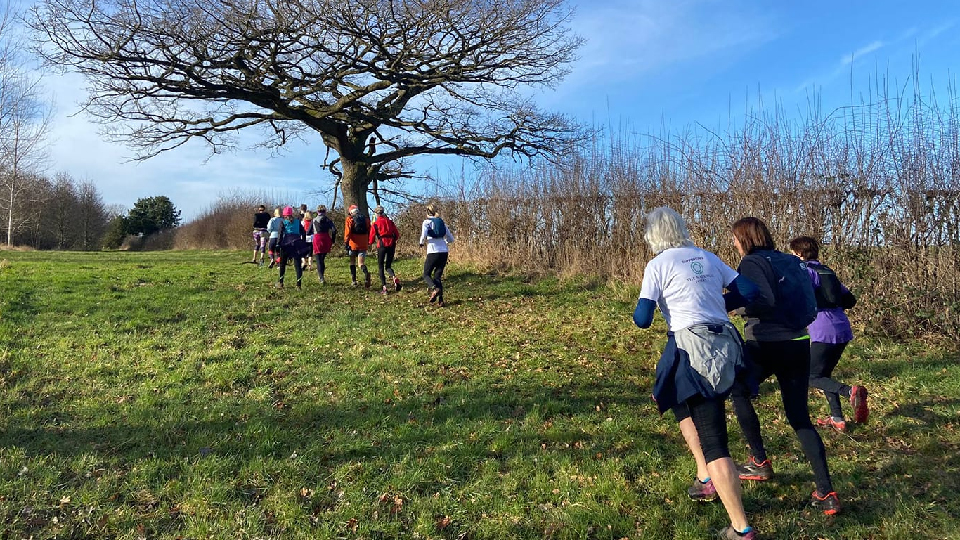 Run For The Trees