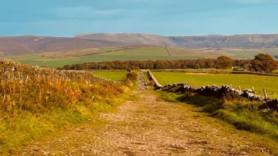 /images/2024/01/mellor-trail-copy.jpg