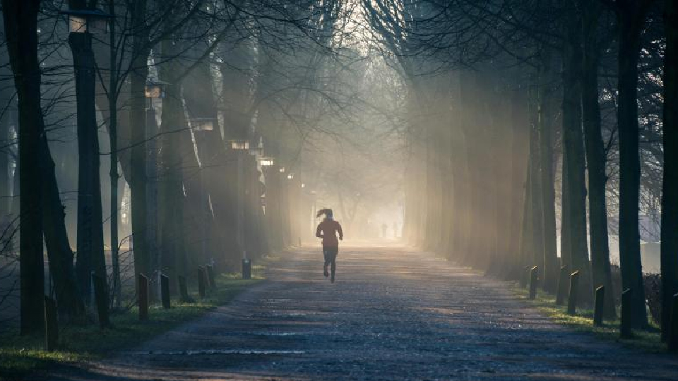 /images/2024/01/trail-runner-copy.jpg